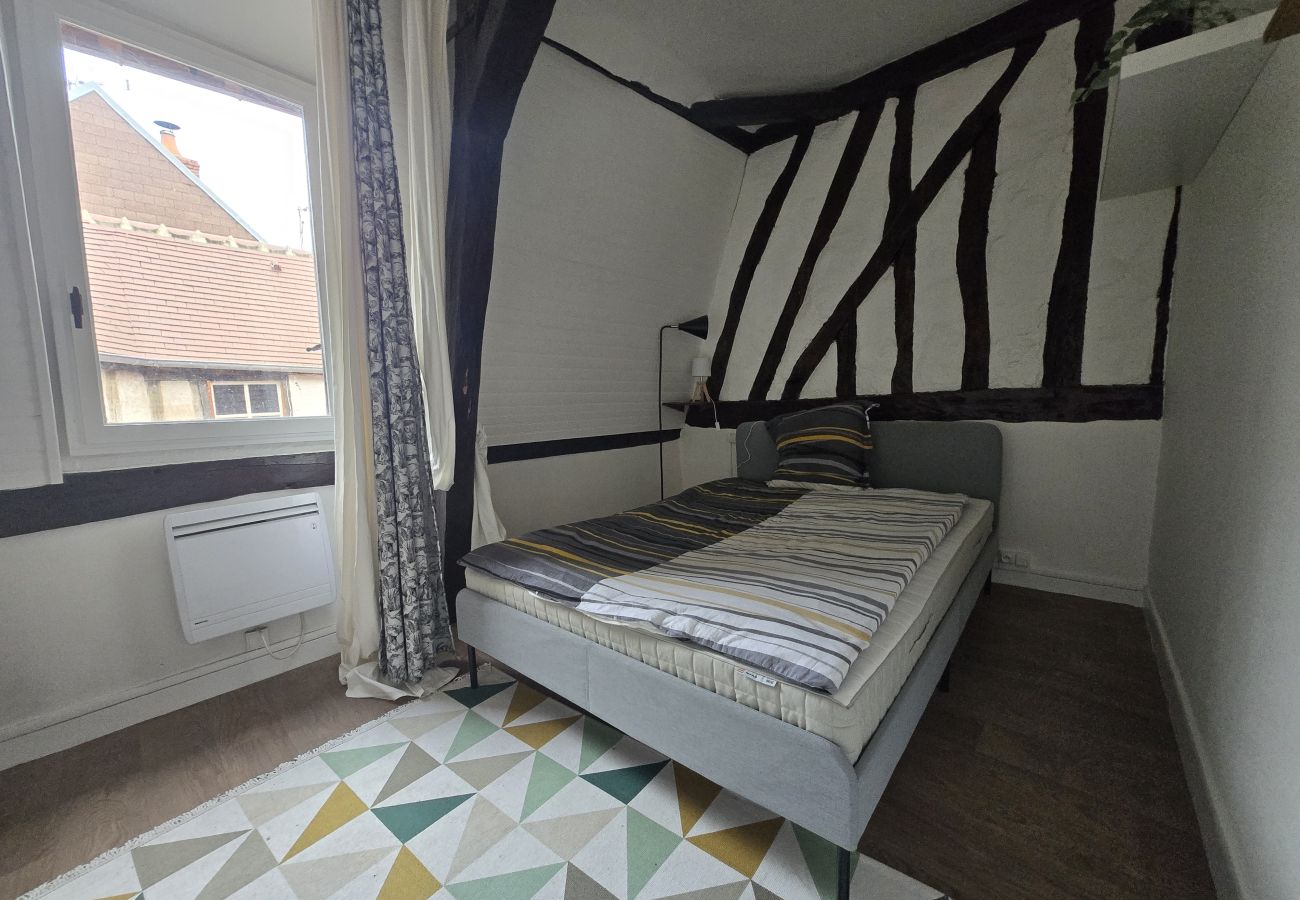 Apartment in Auxerre - Fecauderie