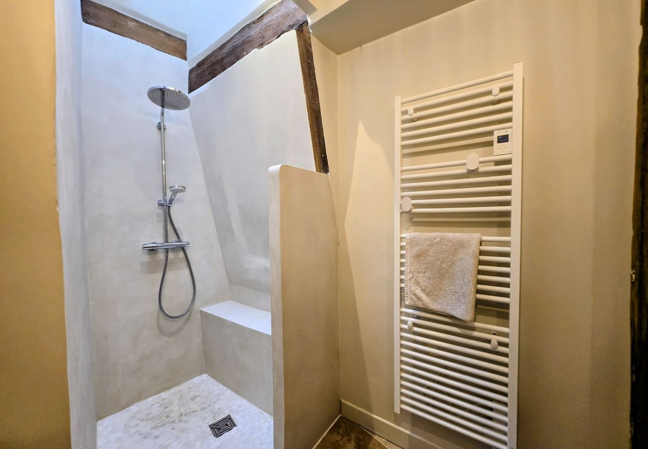 Apartment in Auxerre - Duplex Spacieux 2 Chambres au Centre-Ville d'Auxer