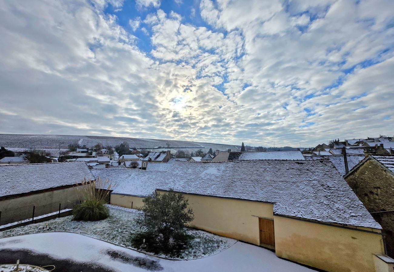 House in Chablis - Gite De L'Aeti - SPA prive - Piscine - Vignoble