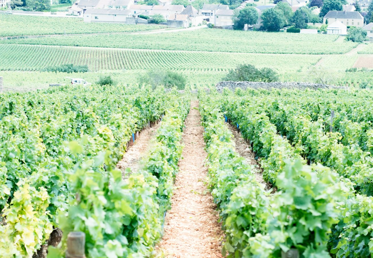 Apartment in Auxerre - La Croix 2 personnes, Cœur village St Bris