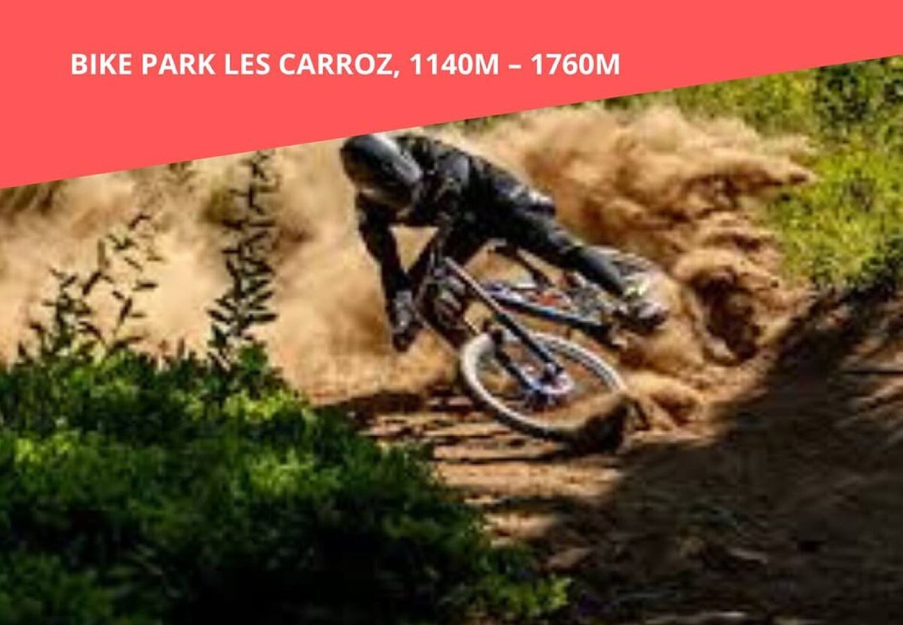 Appartement à Arâches-la-Frasse - Mazots - Séjour aux Carroz