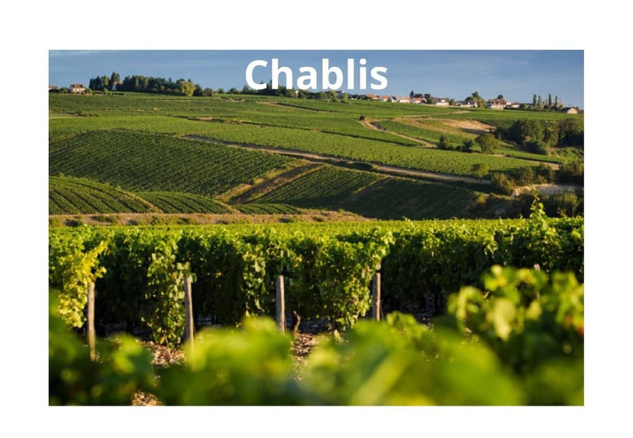 Maison à Coulanges-la-Vineuse - Vildieu - Séjour à Coulanges