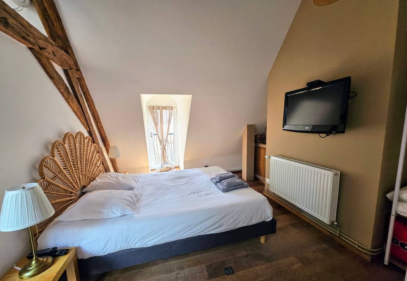 Appartement à Auxerre - Robillard 2 - séjour à Auxerre