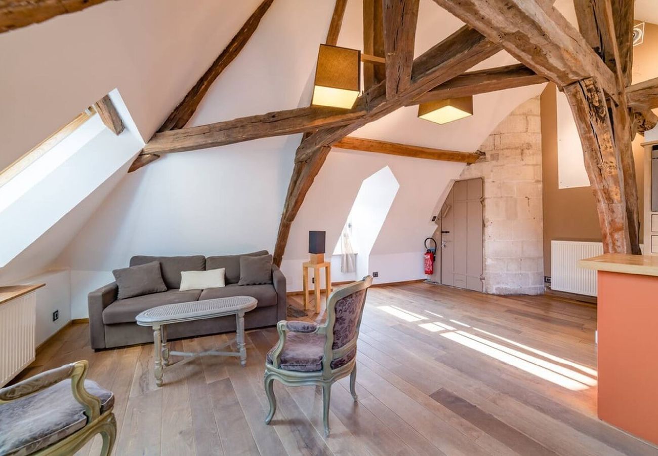 Appartement à Auxerre - Robillard 2 - séjour à Auxerre