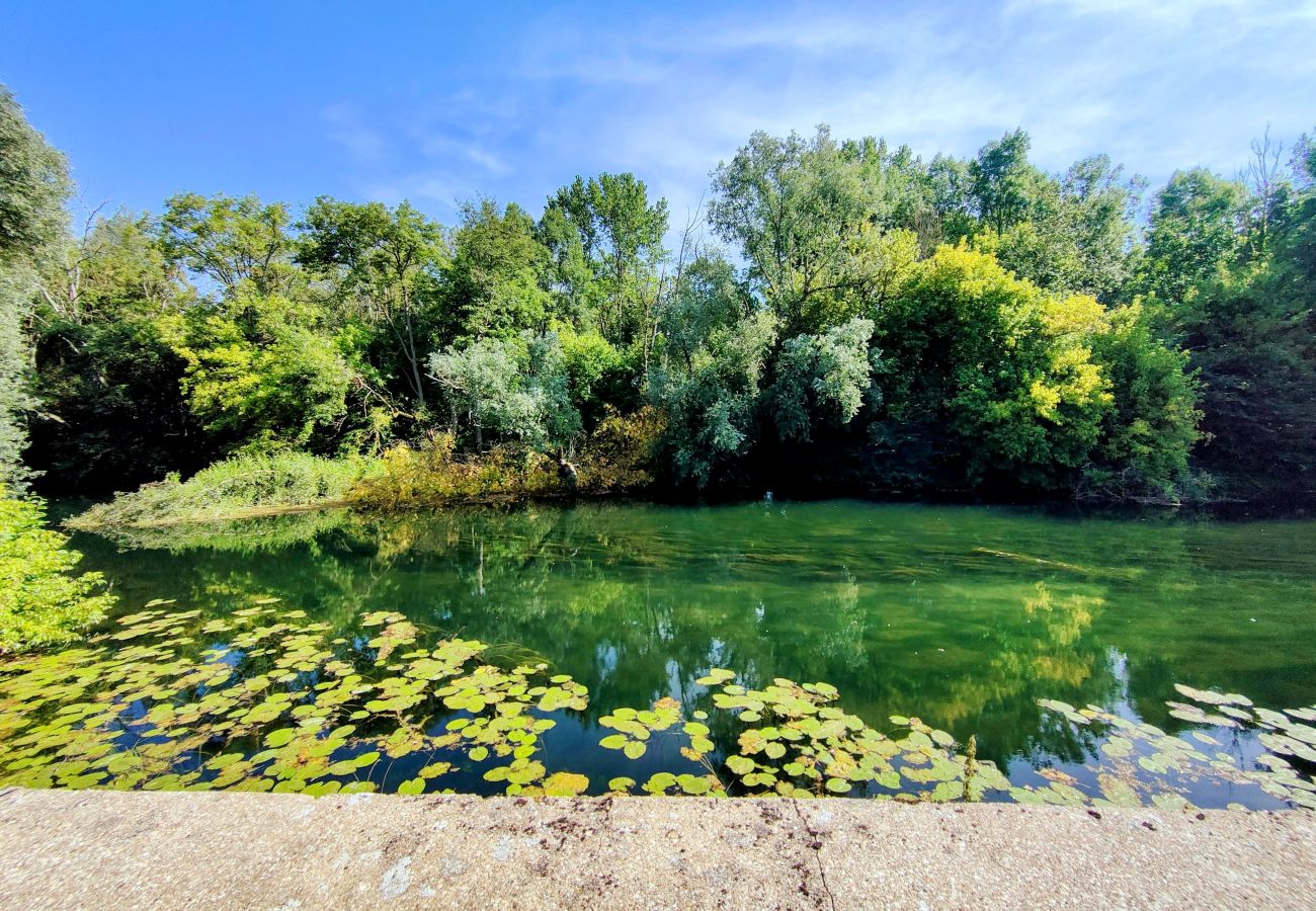 Domaine à Roffey - Champs du Moulin - Séjour à Roffey