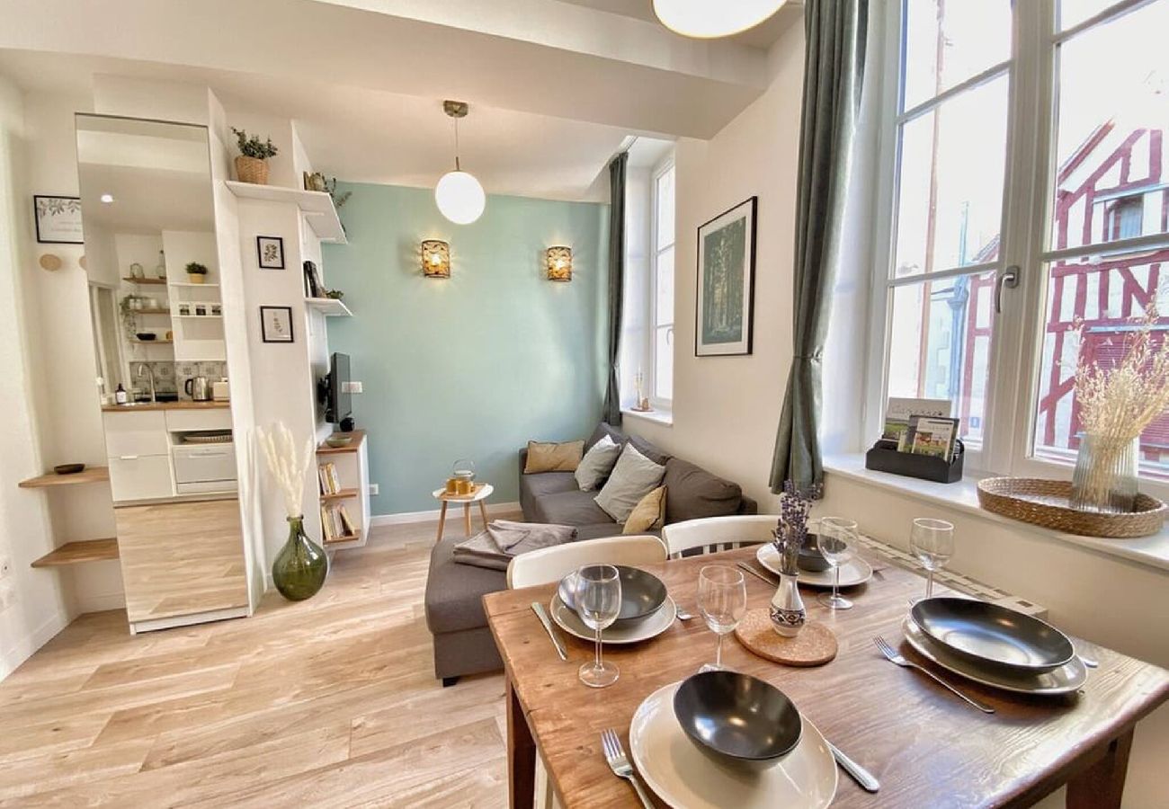 Appartement à Auxerre - L´Atelier des songes - Séjour à Auxerre