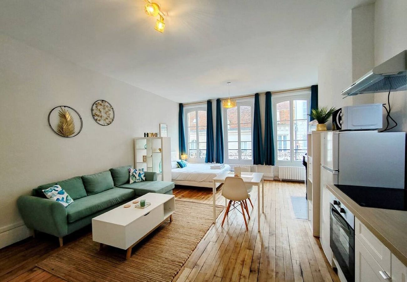 Studio à Auxerre - Paris IV - Séjour à Auxerre
