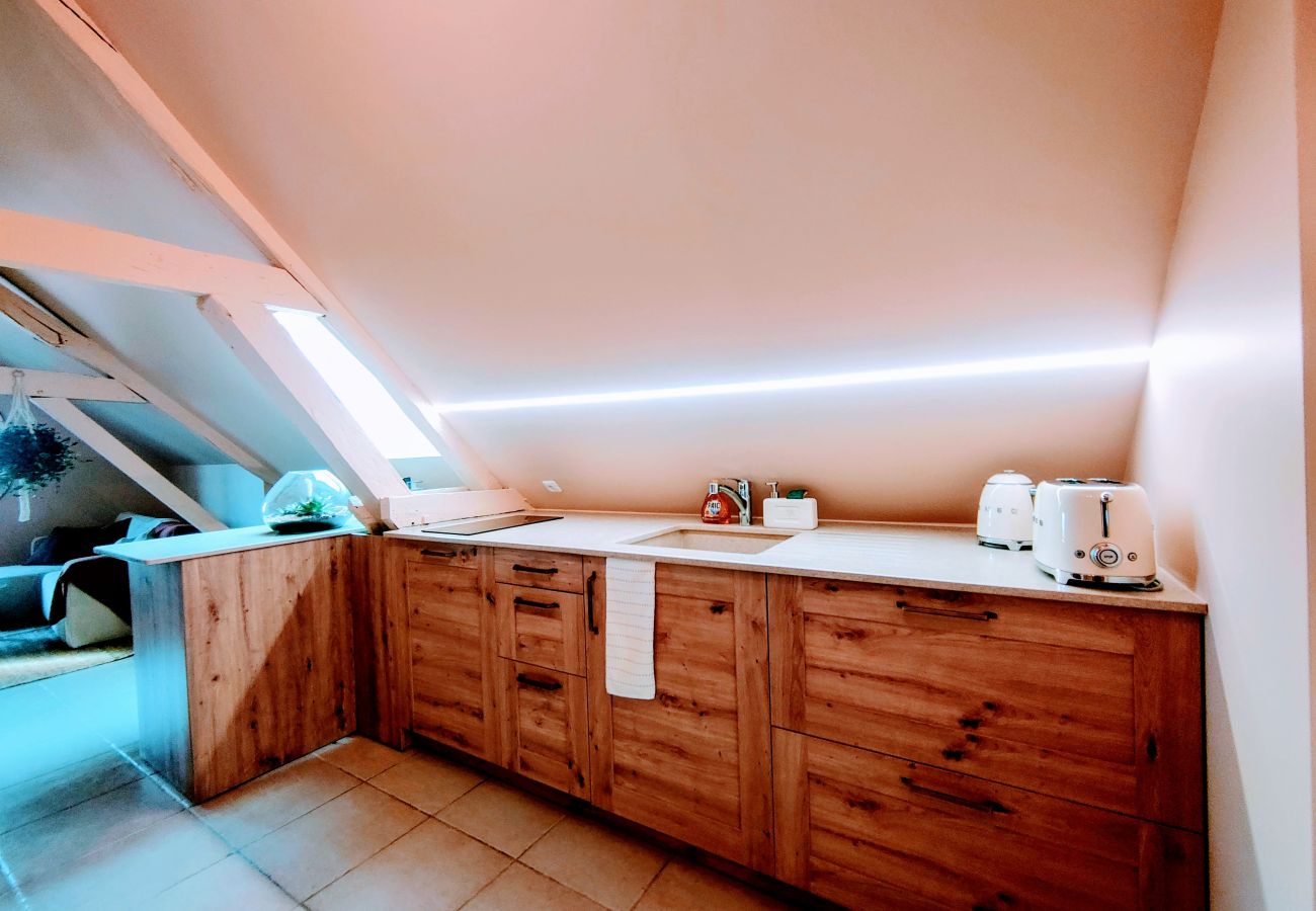 Appartement à Auxerre - Faillot - Séjour à Auxerre