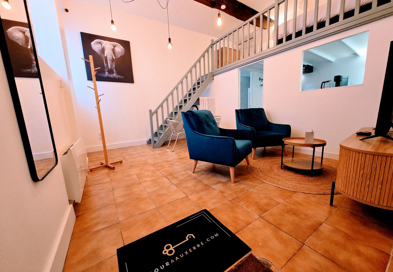 Appartement à Auxerre - Petit Icaunais - Séjour à Auxerre