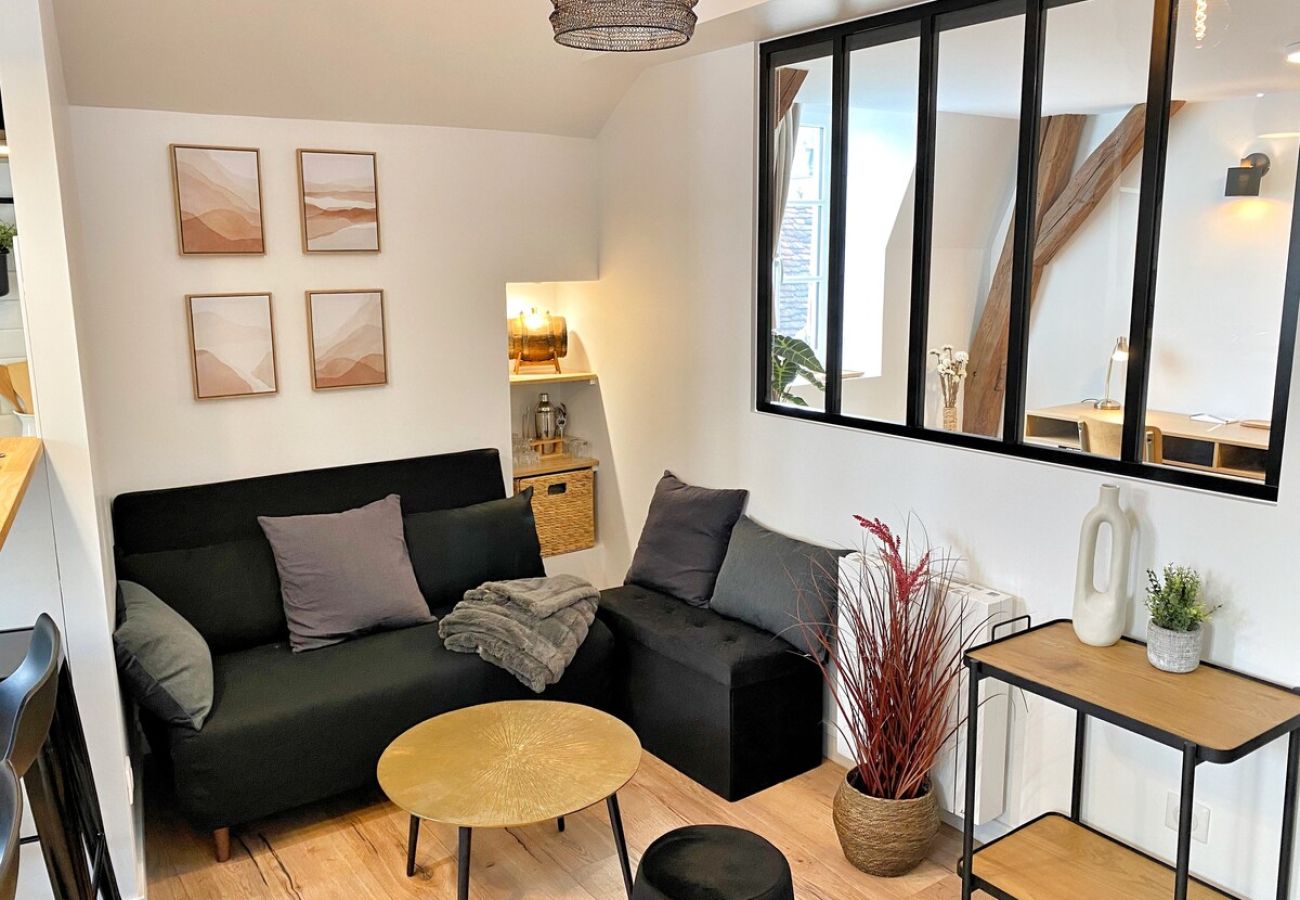 Appartement à Auxerre - Le Repères des Sommeliers - Séjour à Auxerre