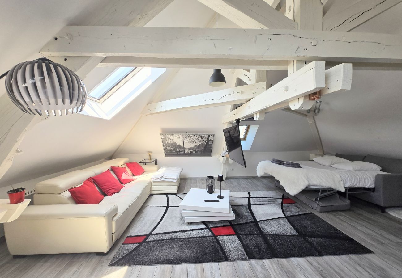 Appartement à Auxerre - Le Cosy - Séjour à Auxerre