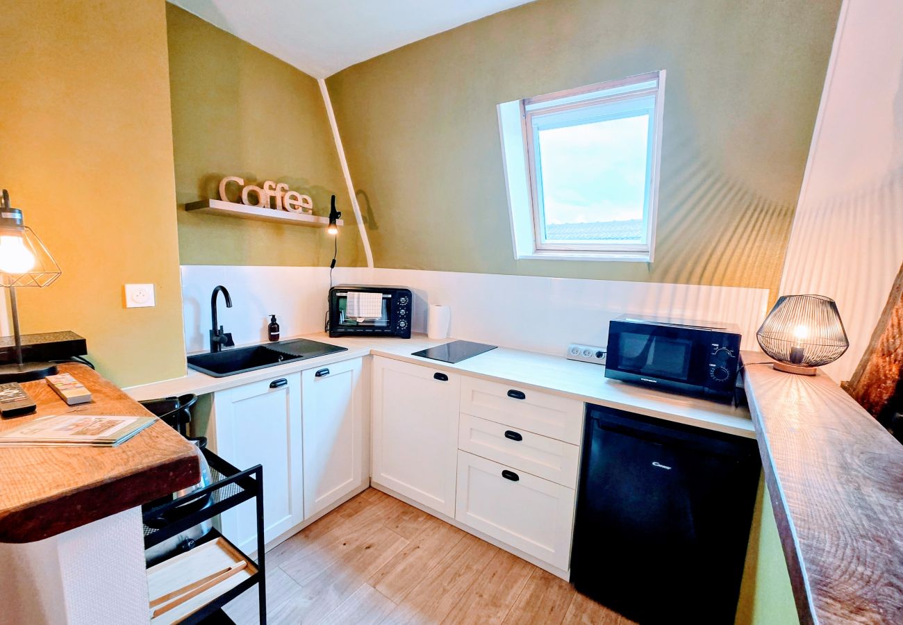 Studio à Auxerre - Grand Studio Vue Toit - Centre Ville Auxerre