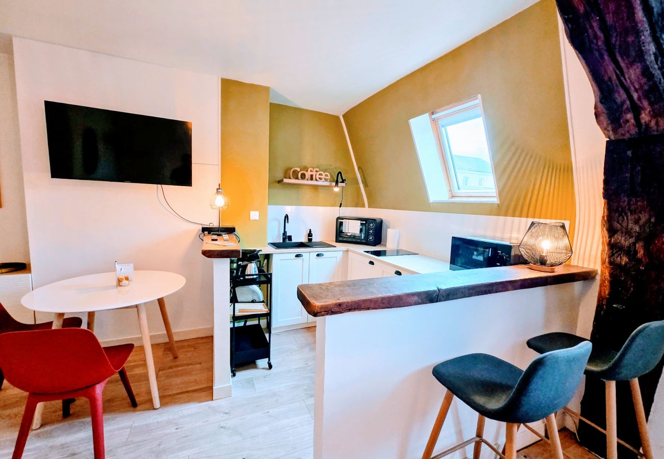 Studio à Auxerre - Grand Studio Vue Toit - Centre Ville Auxerre
