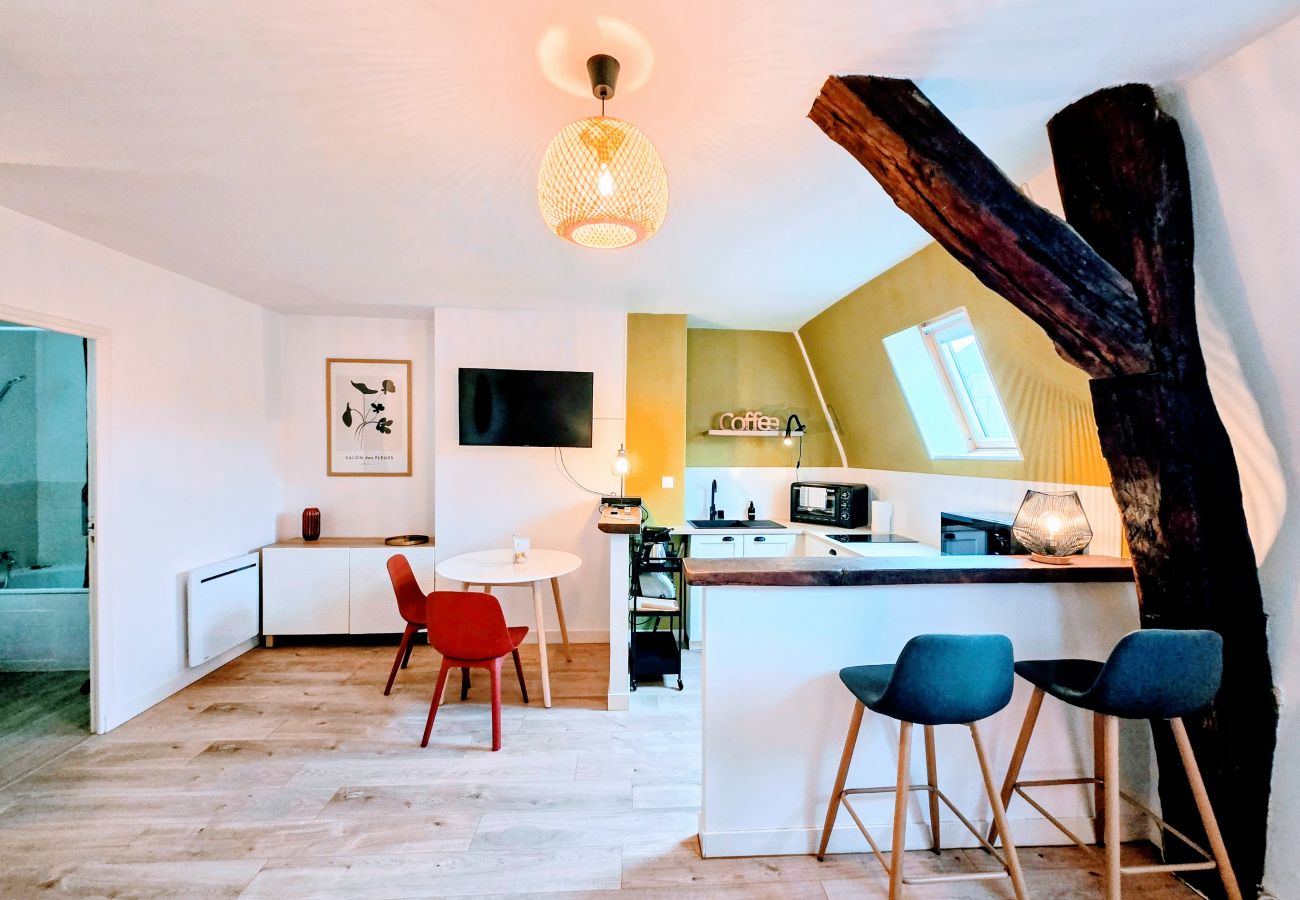 Studio à Auxerre - Grand Studio Vue Toit - Centre Ville Auxerre