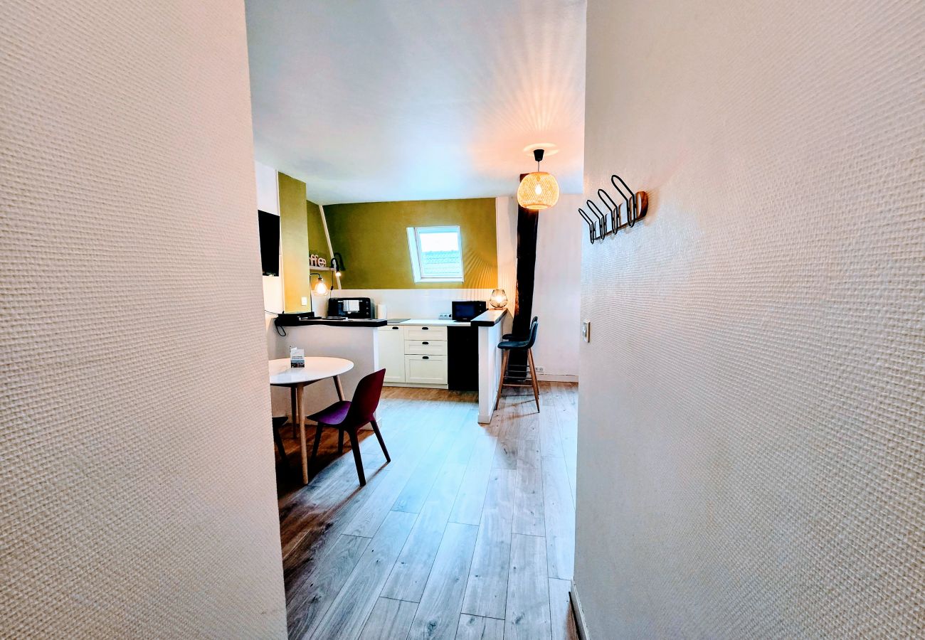Studio à Auxerre - Grand Studio Vue Toit - Centre Ville Auxerre