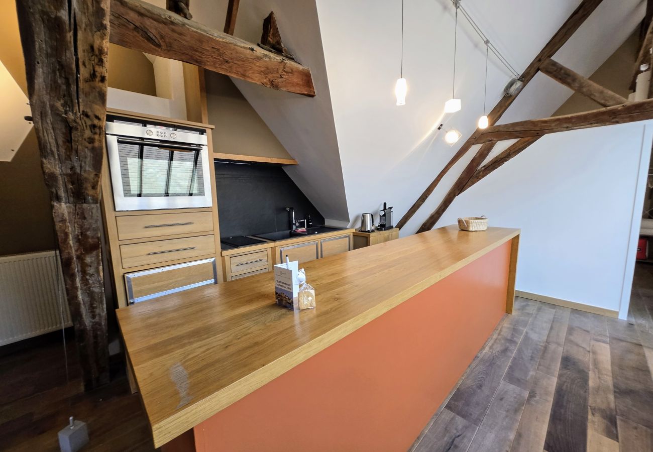 Appartement à Auxerre - Verrière 