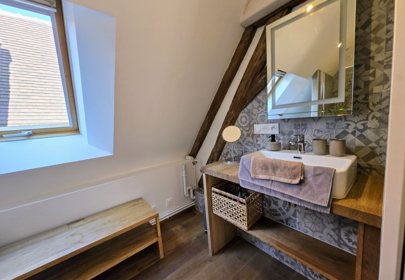 Appartement à Auxerre - Verrière 