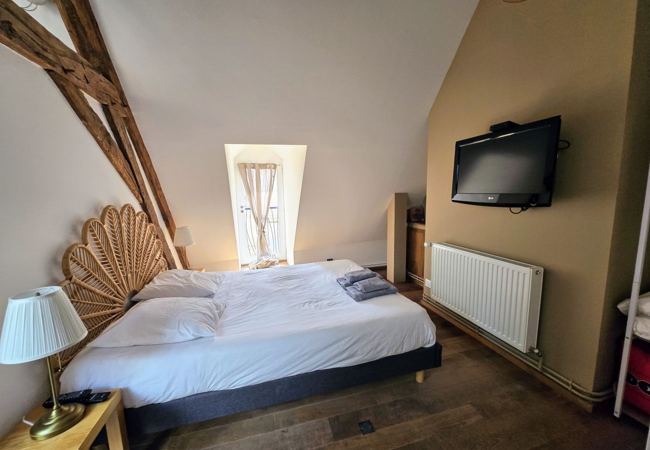 Appartement à Auxerre - Verrière 
